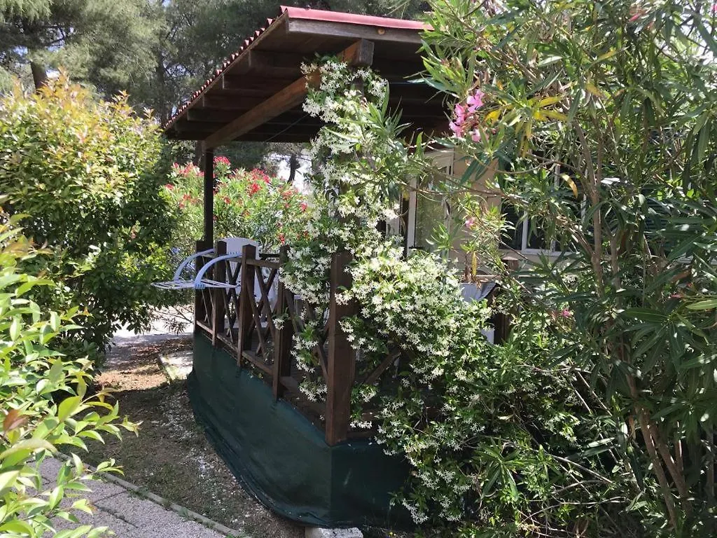 Holiday park Camping Media Mobile Homes In Brioni Sunny Camping Pula