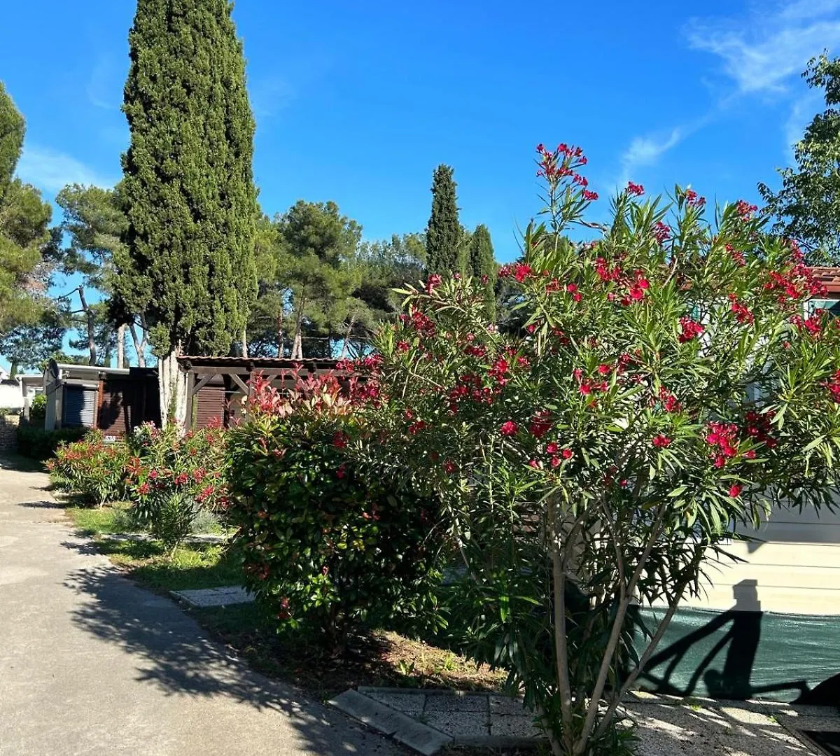 Camping Media Mobile Homes In Brioni Sunny Camping Pula Holiday park